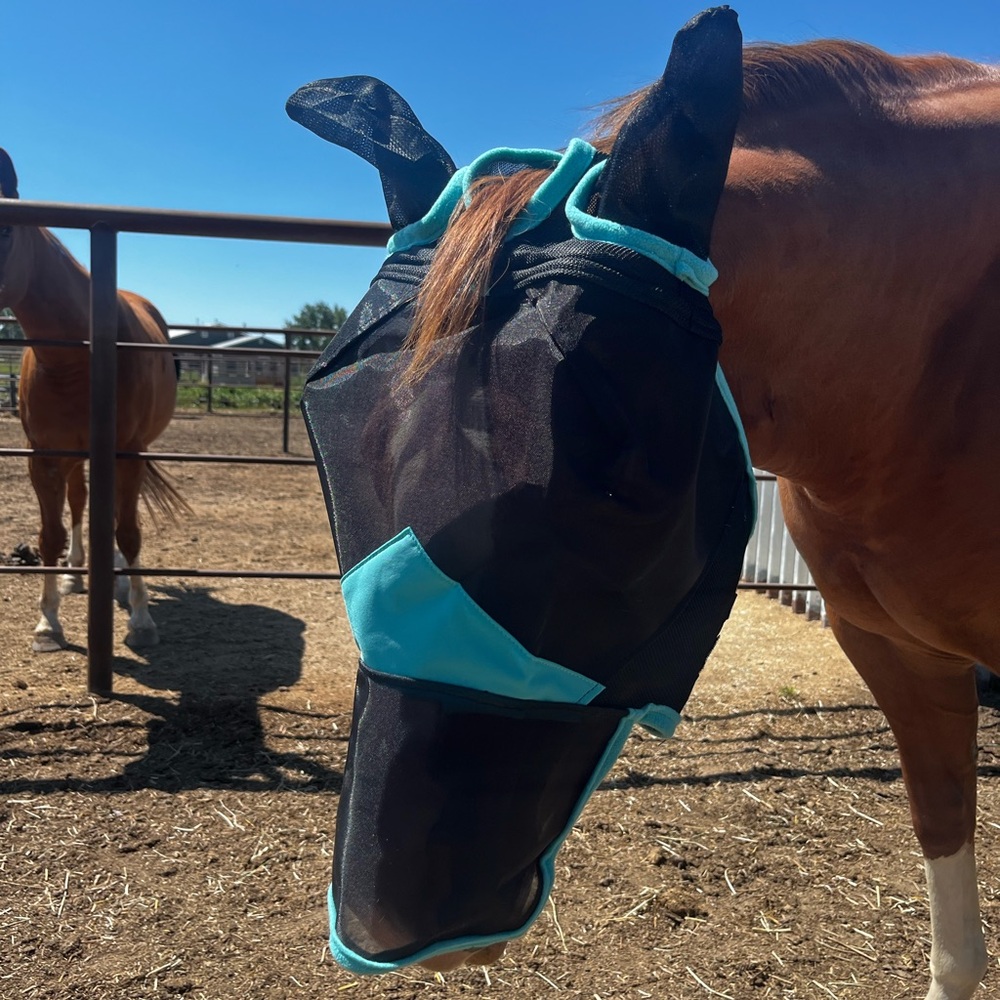 NWT Weatherbeeta fly mask - Picture 3 of 4